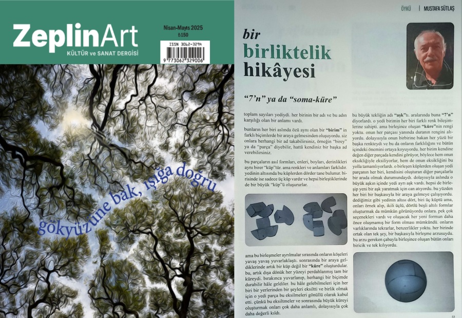 bir birliktelik hikyesi / haikular