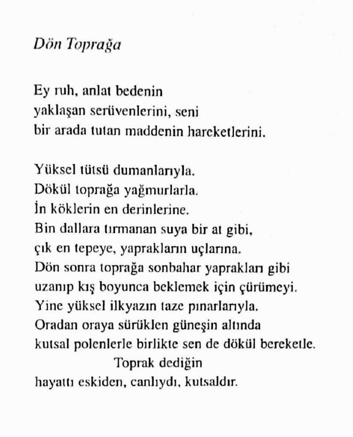 imdilik her ey yolunda