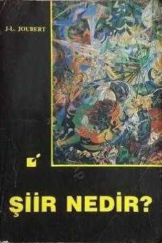 iir nedir?